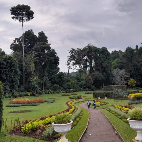 Peradeniya Botanical garden