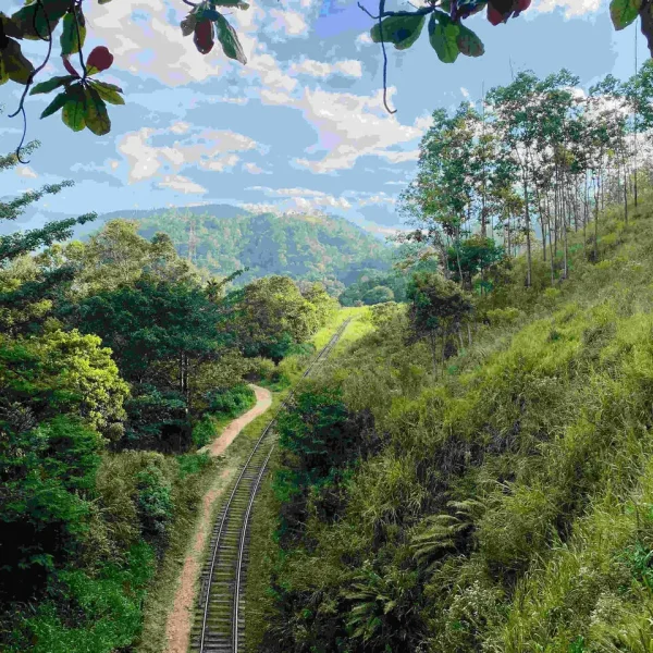 Demodara Railway Loop Ella