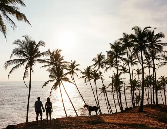 Reisadvies Sri Lanka: Tips voor een Veilige en Onvergetelijke Reis