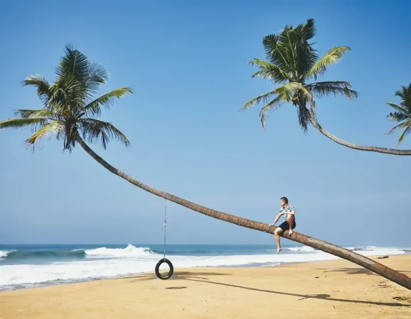 Quand Partir au Sri Lanka : Guide Météo et Saisons pour un Voyage Parfait.