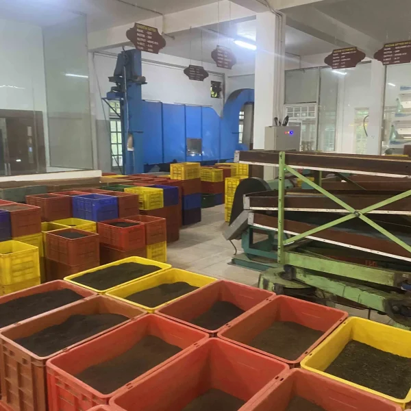 Sri Lanka Tea Plantation Tours