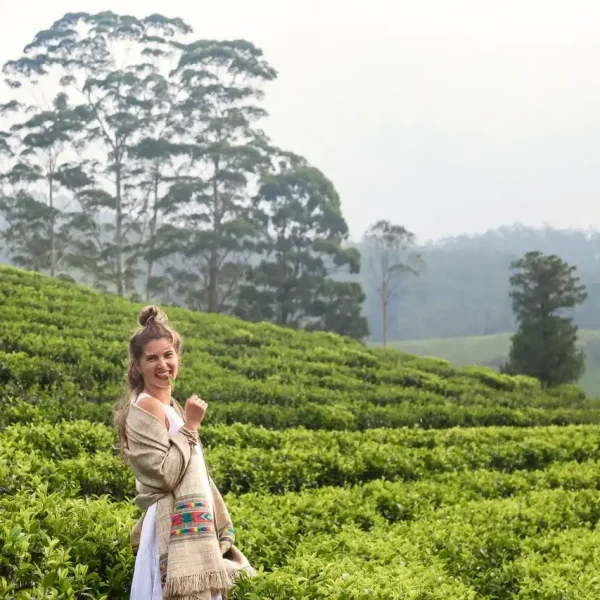 Sri Lanka Tea Plantation Tour
