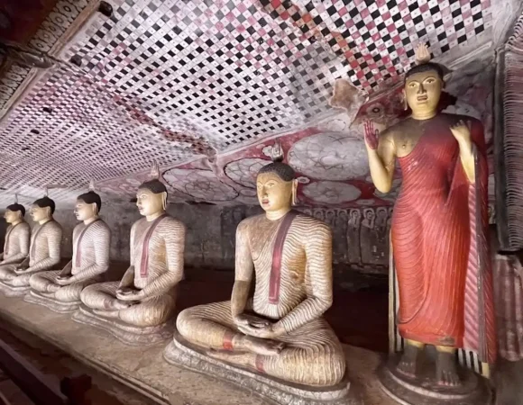 Jouw Droom Groepsreis Sri Lanka Begint Hier: De Beste Rondreizen voor Nederlandse Reizigers