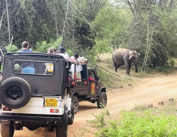 The Perfect 7-Day Sri Lanka Itinerary for UAE Families