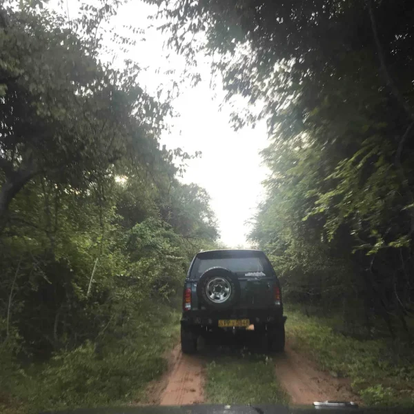 Sri Lanka Safari Tours