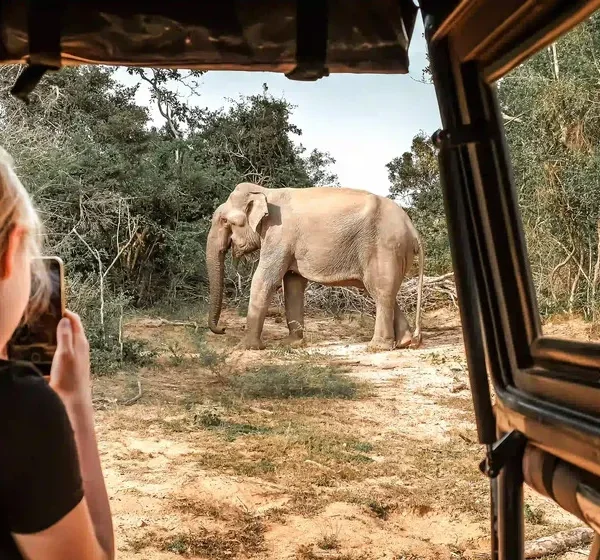 Sri Lanka Safari Tours
