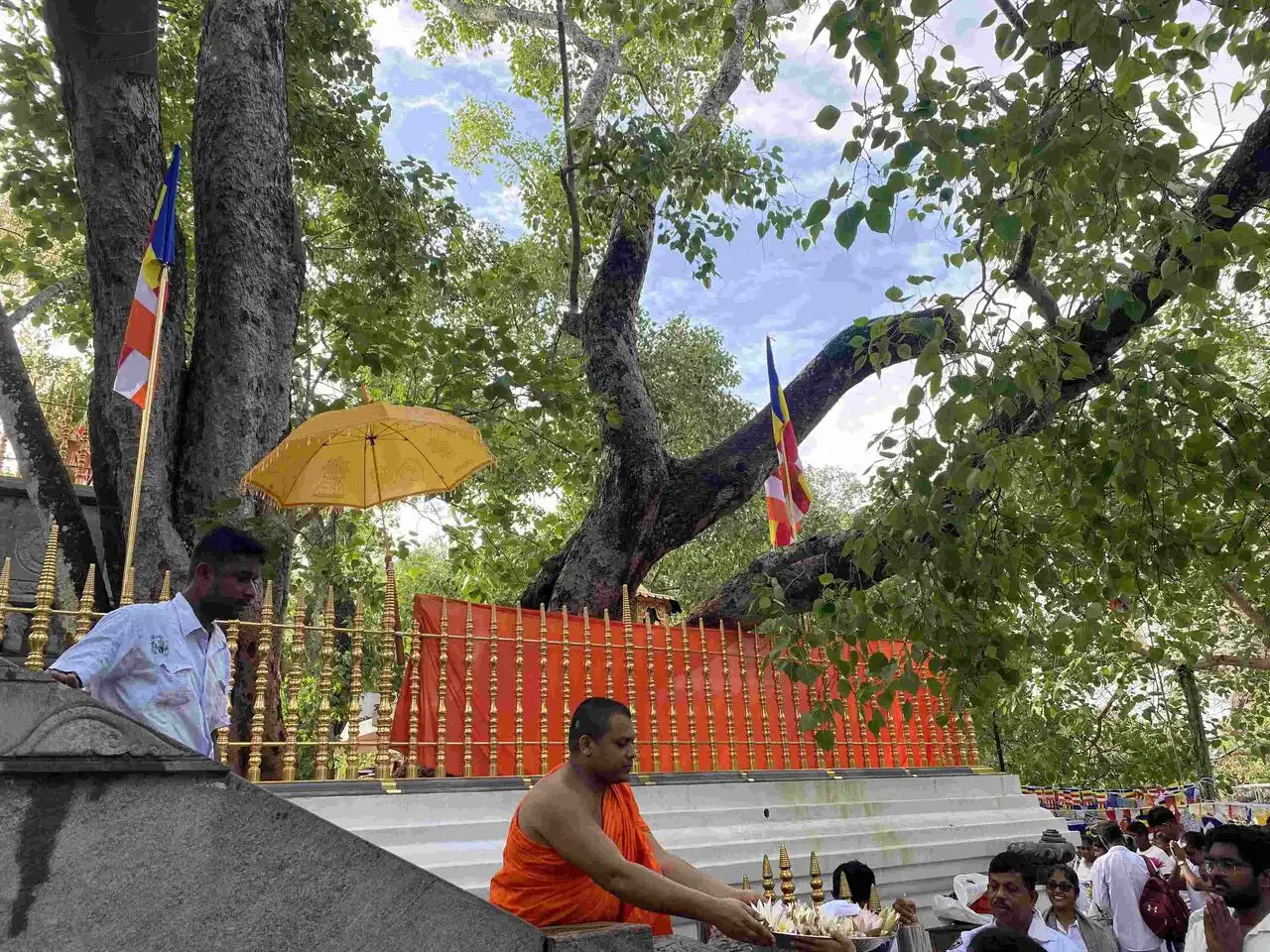 Jaya Sri Maha Bodhi Temple
