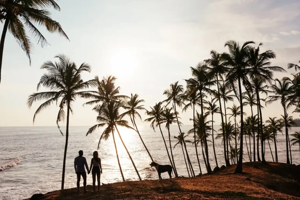 Coconut Tree Hill