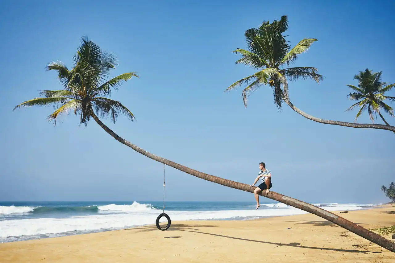 Sandy Beaches