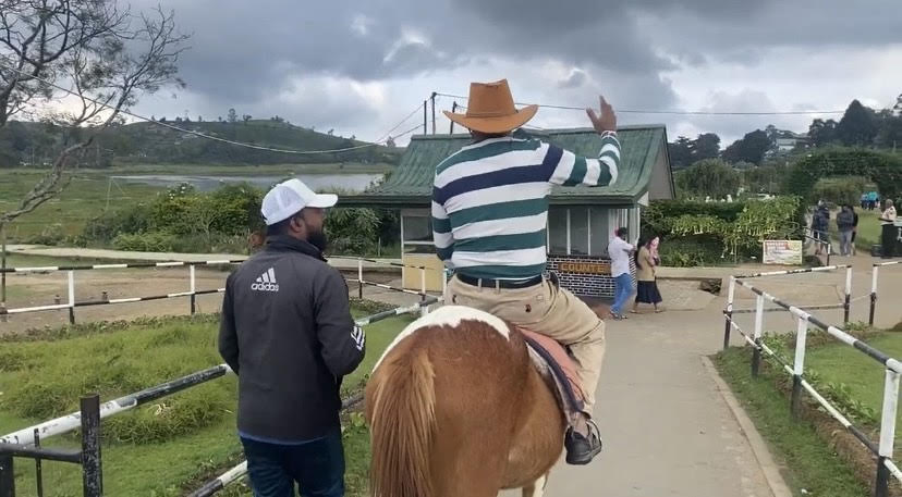 Horse Rides