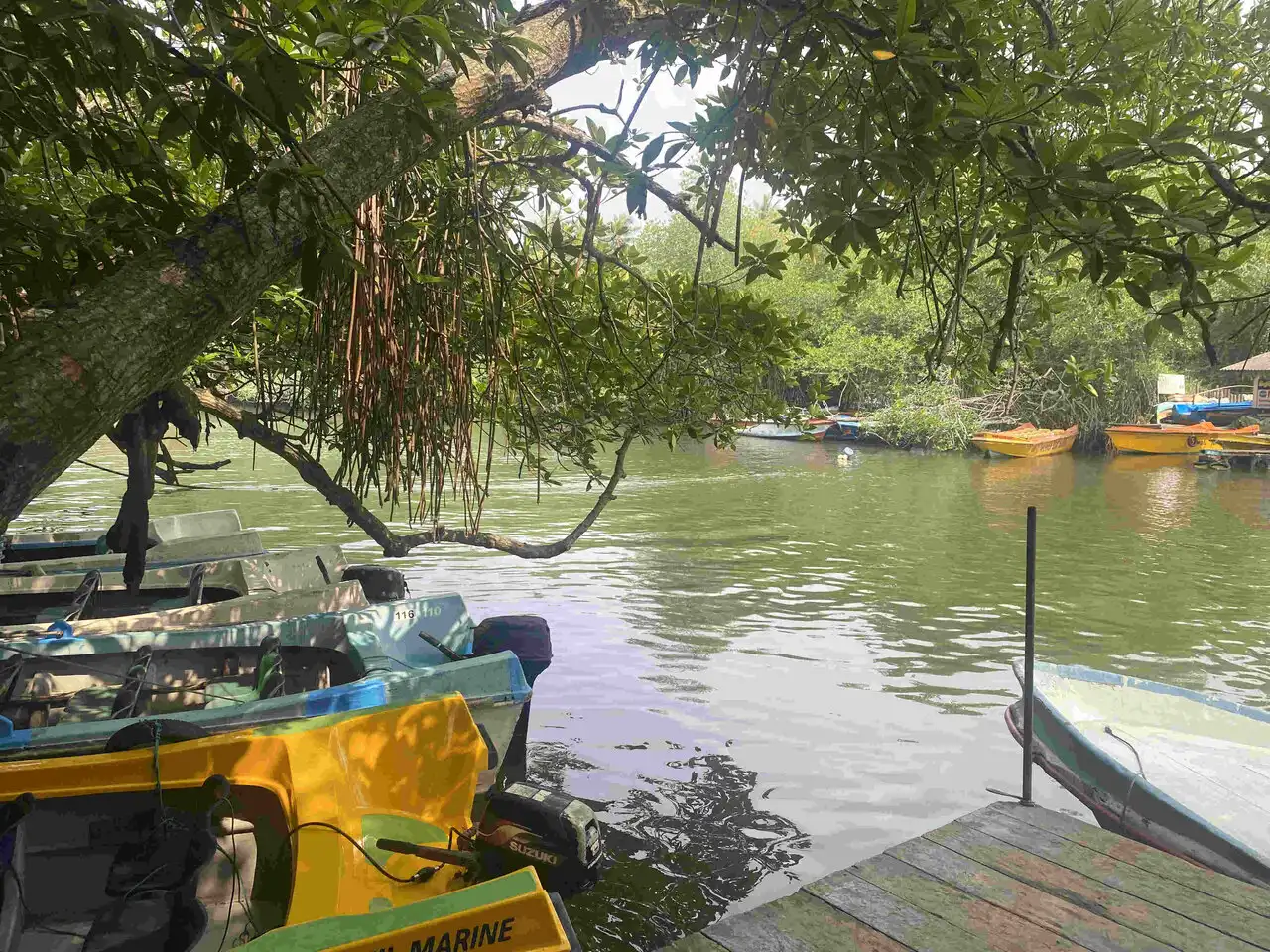 Maadu River