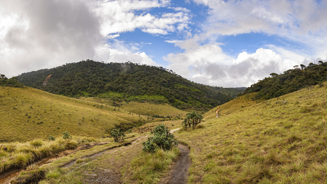 Horton Plains National Park