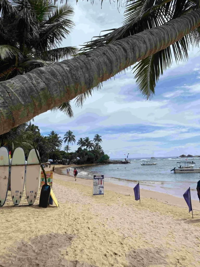 Best Beaches in Sri Lanka